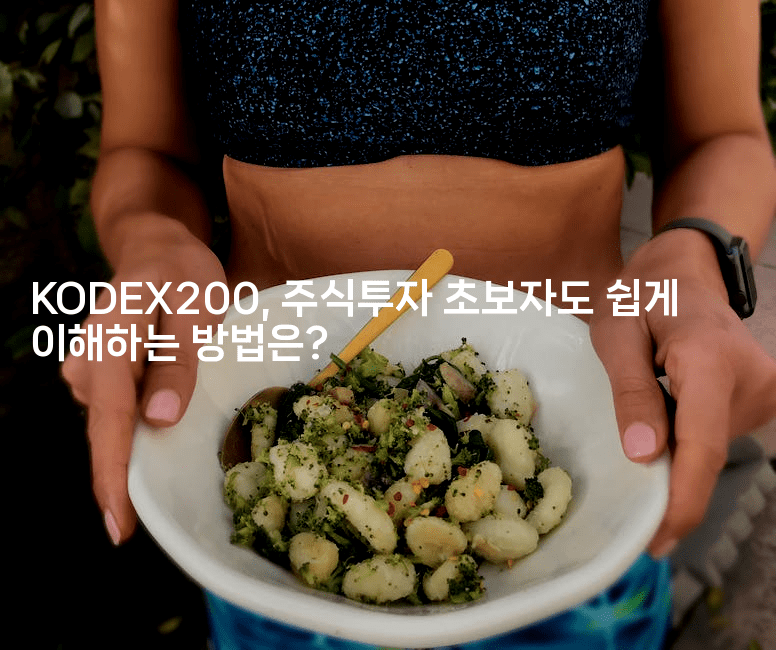 KODEX200, 주식투자 초보자도 쉽게 이해하는 방법은?2-테크박스