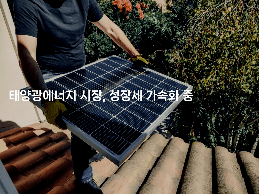 태양광에너지 시장, 성장세 가속화 중-테크박스