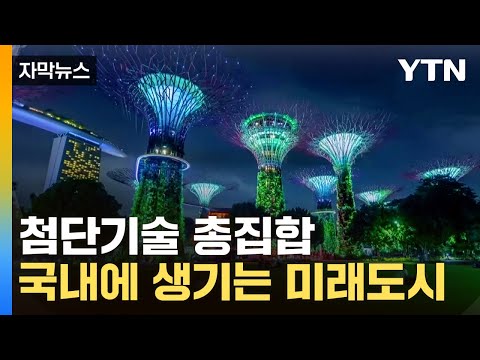 [자막뉴스] 한국에도 '네옴시티'가...친환경, 첨단 기술 총집합 / YTN