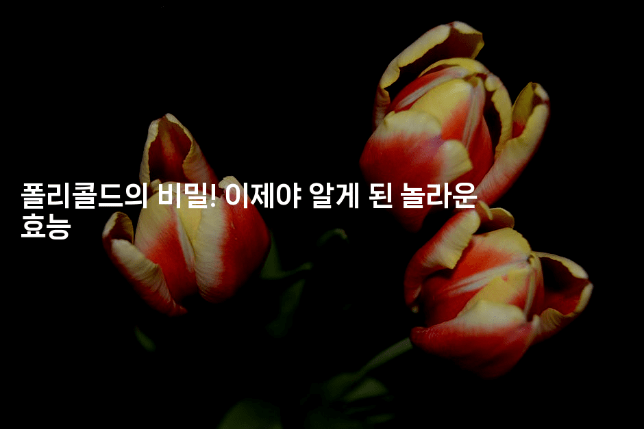 폴리콜드의 비밀! 이제야 알게 된 놀라운 효능2-테크박스