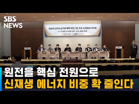 원전을 핵심 전원으로…신재생 에너지 비중 확 줄인다 / SBS