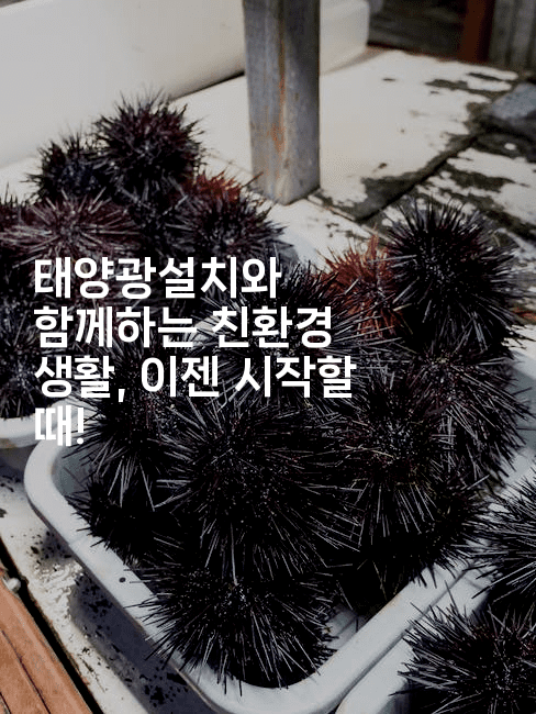 태양광설치와 함께하는 친환경 생활, 이젠 시작할 때!