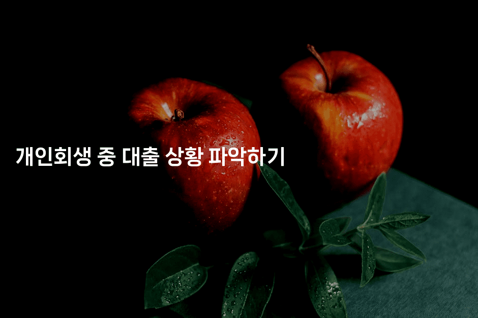 개인회생 중 대출 상황 파악하기-테크박스