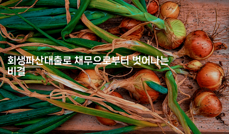 회생파산대출로 채무으로부터 벗어나는 비결-테크박스