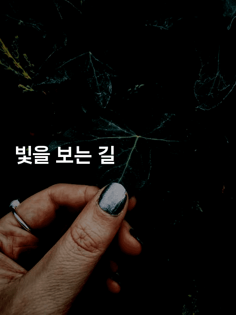 빛을 보는 길-테크박스