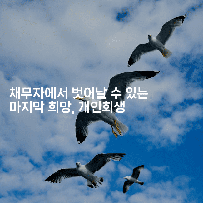 채무자에서 벗어날 수 있는 마지막 희망, 개인회생