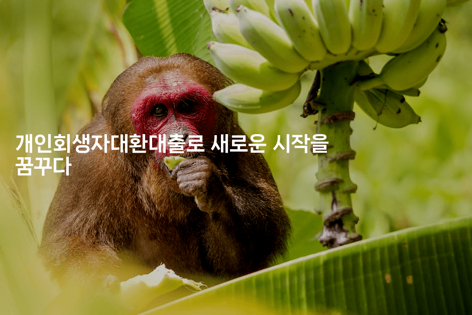 개인회생자대환대출로 새로운 시작을 꿈꾸다-테크박스