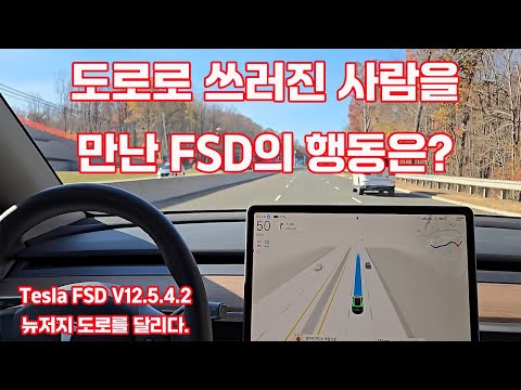 도로로 쓰러지는 행인을 만난  FSD의 반응은