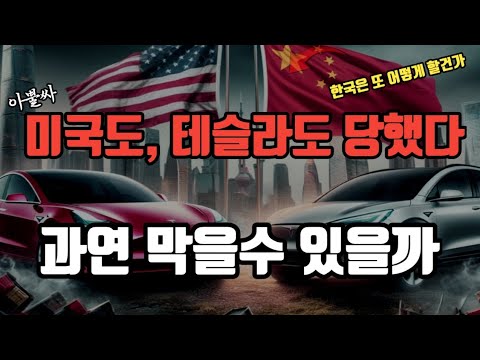 테슬라기술 벤치마킹해 만든 중국 자율주행의 실상. 미국도 큰일, 한국도 과연 막을수 있을까?