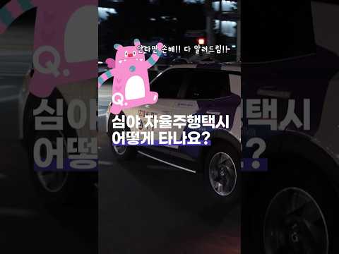 '국내 최초' 심야 자율주행택시?!! 타는 방법은? (공짜인건 비밀)