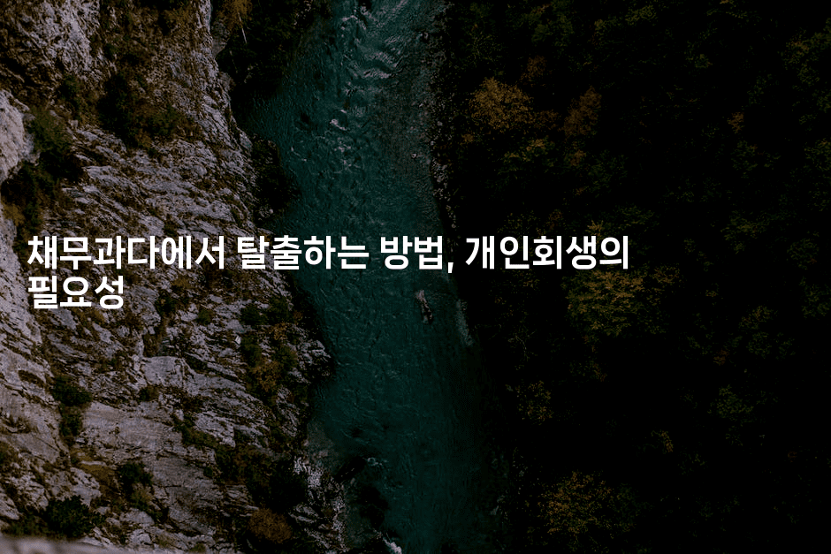 채무과다에서 탈출하는 방법, 개인회생의 필요성